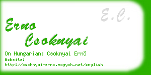 erno csoknyai business card